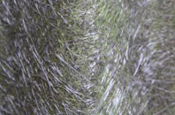 Upper Tooting fibreglass roof work